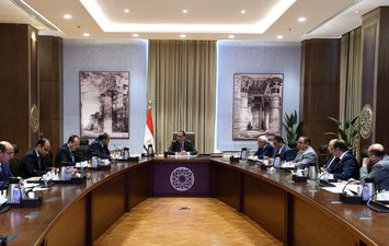 رئيس الوزراء يتابع موقف مشروعات المنطقة الصناعية ببورسعيد 