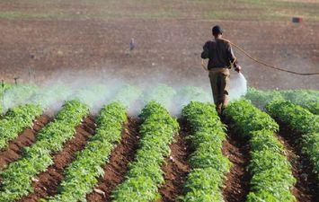 متبقيات المبيدات.. هل سمعة مصر الزراعية في خطر؟