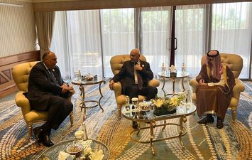 وزير الخارجية يشارك في الاجتماع الأول لمجموعة الاتصال العربية الوزارية