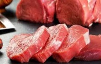 أسعار العجول وكليو اللحم الحي 