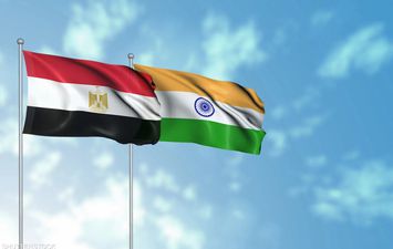 التبادل التجاري بين مصر والهند