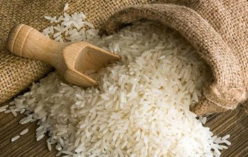 أسعار الأرز اليوم 