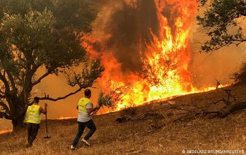 حرائق الغابات بالجزائر 