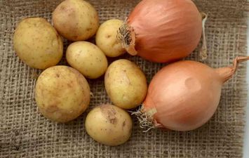 اسعار البطاطس والبصل 