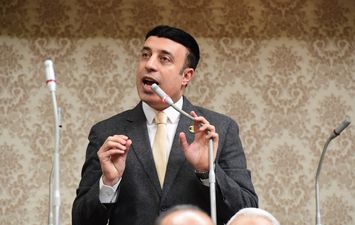 أحمد الشناوي عضو مجلس النواب