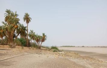 الجفاف في السودان 