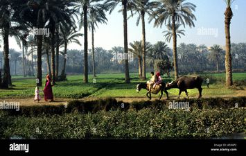 درجة الحرارة بالفيوم 