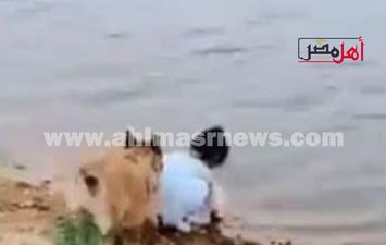 كلب ينقذ فتاة من الغرق