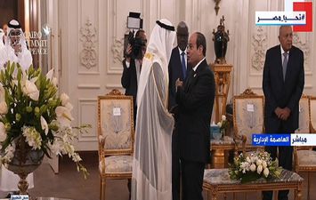 الرئيس السيسي ورئيس الامارات