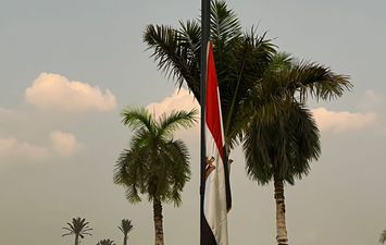 علم مصر بجامعة القاهرة 
