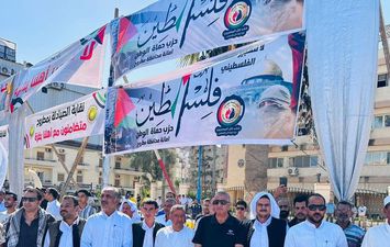 الشعب المصري ينتفض لدعم القضية الفلسطينية