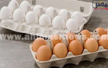 أسعار البيض اليوم بالفيوم