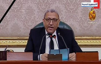 احمد سعد الدين وكيل مجلس النواب