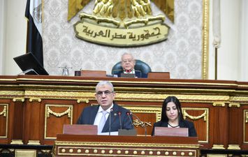 عادل عبدالفضيل رئيس لجنة القوي العاملة بمجلس النواب