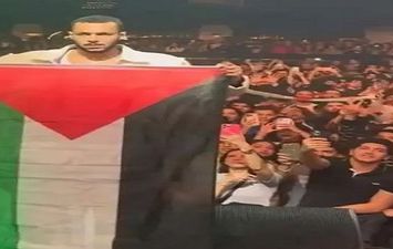 ويجز يرفع علم فلسطين