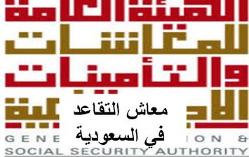 خطوات التقديم على معاش التقاعد 2024 