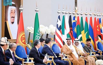 القمة العربية الطارئة
