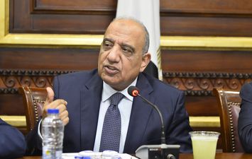 الدكتور محمود عصمت وزير قطاع الاعمال