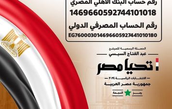 الحملة الانتخابية للمرشح الرئاسي عبد الفتاح السيسي 