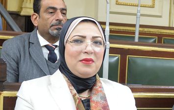   احسان شوقي عضو مجلس النواب