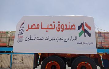 قافلة تحيا مصر لغزة