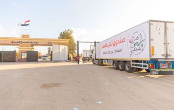 مساعدات صندق تحيا مصر لقطاع غزة