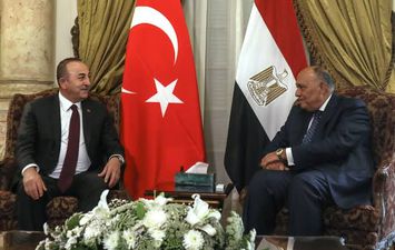 وزيرا خارجية مصر وتركيا 