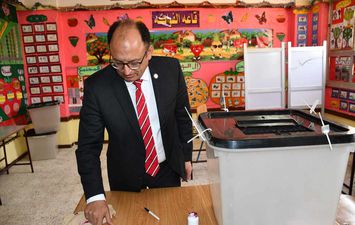 رئيس جامعة حلوان ينتخب 