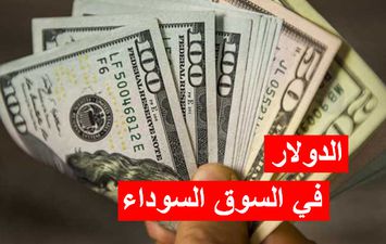 الدولار مقابل الجنيه المصري 