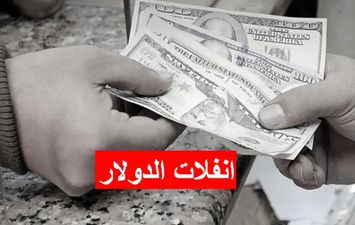 سعر الدولار 