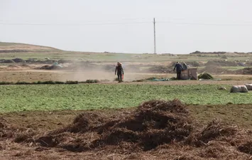 انشاء المركز الخدمي للنباتات الطبية والعطرية بسمسطا 