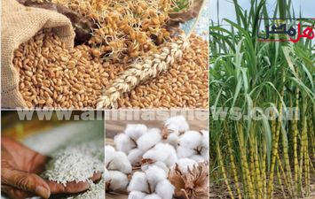 ارتفاع أسعار الاسمدة 