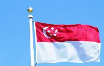 انخفاض معدل الخصوبة في سنغافورة 