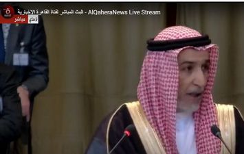 ممثل السعودية أمام محكمة العدل الدولية