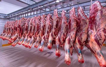 اسعار اللحوم اليوم الاربعاء 