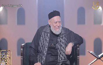 علي جمعة مفتي الديار المصرية السابق