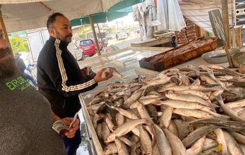 مقاطعة الأسماك في بورسعيد