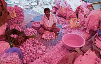 تصدير البصل في الهند 