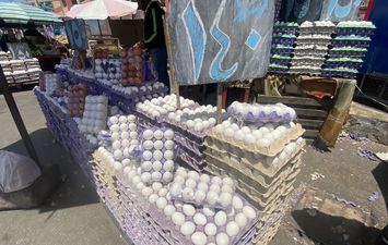 تاجر بيض يخفض أسعاره ببورسعيد