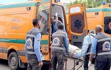 مصرع سيدة و طفل و اصابة ١١ آخرين اثر تصادم سيارة ميكروباص بسيارة مواد كيميائية طريق بورسعيد- الإسماعيلية 