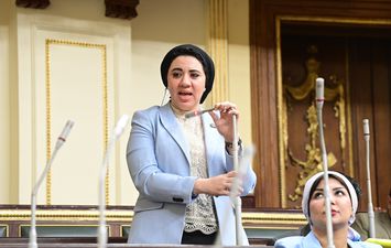 أميرة صابر عضو مجلس النواب