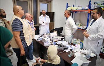 البعثة الطبية المصرية 