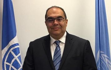 محمود محيي الدين المدير التنفيذي بصندوق النقد الدولي
