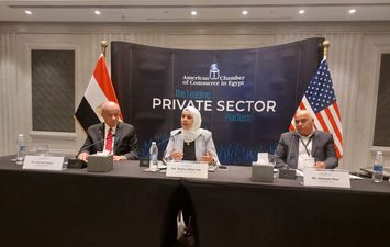 رشا عبد العال رئيس مصلحة الضرائب المصرية