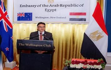 سفير مصر 