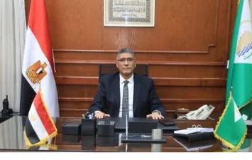 المهندس عادل النجار، محافظ الجيزة
