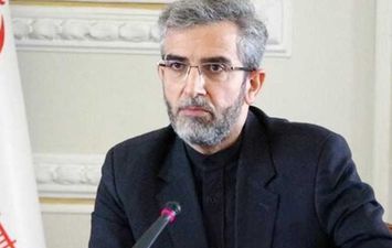 القائم بأعمال وزير الخارجية الإيراني، علي باقري كني