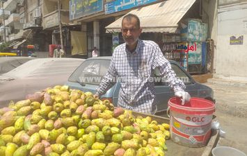 عم إبراهيم، بائع تين شوكي 