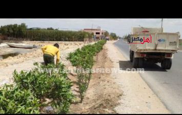 مبادرة الرئاسة مليون شجرة