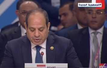 الرئيس عبدالفتاح السيسي